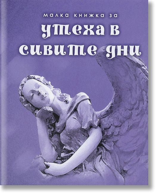 Малка книжка за успеха в сивите дни