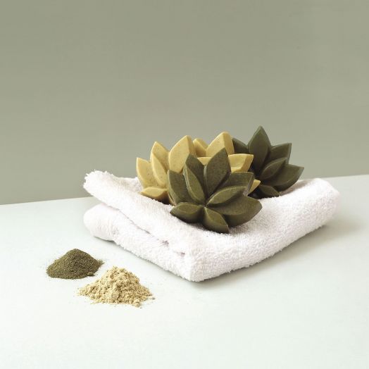 Комплект за правене на твърди шампоани Graine Creative