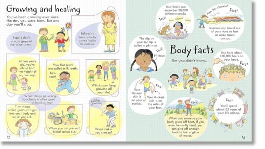 Look Inside Your Body