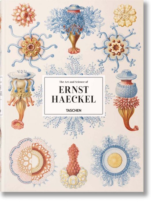 Haeckel