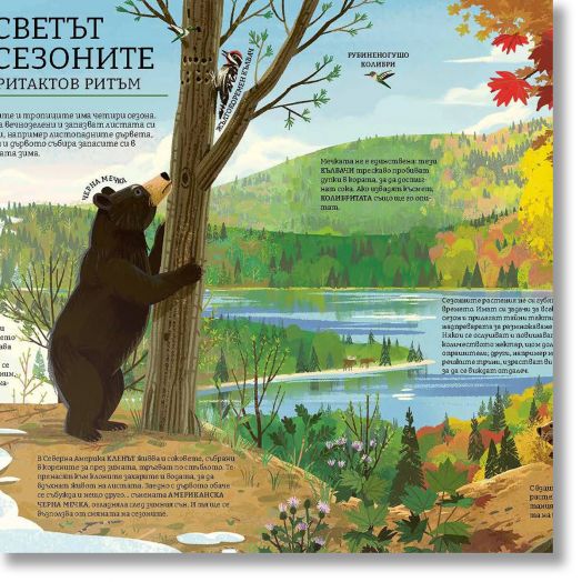 Зелената планета