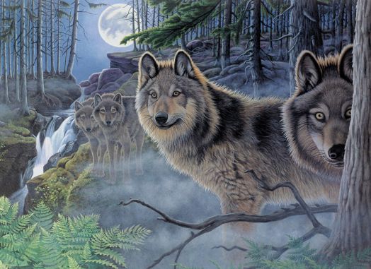Комплект за лесно рисуване с акрилни бои Royal & Langnickel - Вълци