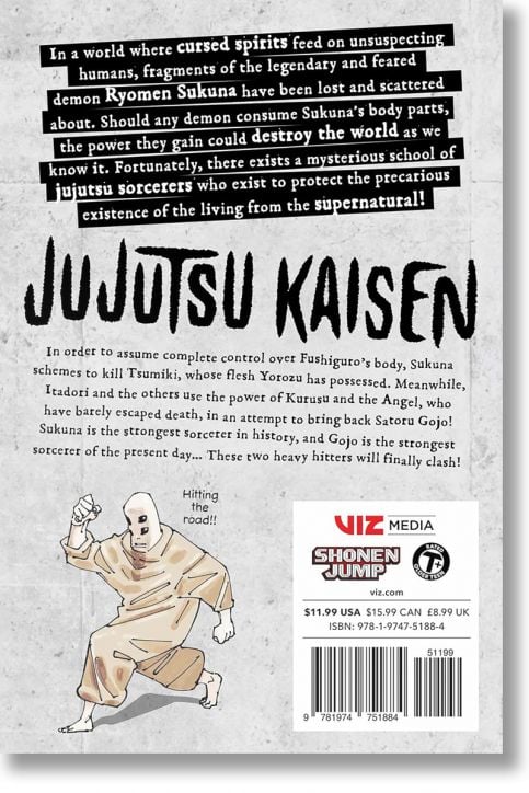 Jujutsu Kaisen, Vol. 25