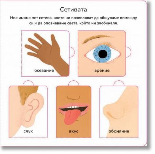 Моето тяло. Интерактивна книга