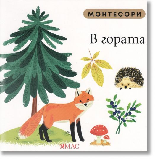 Монтесори: В гората