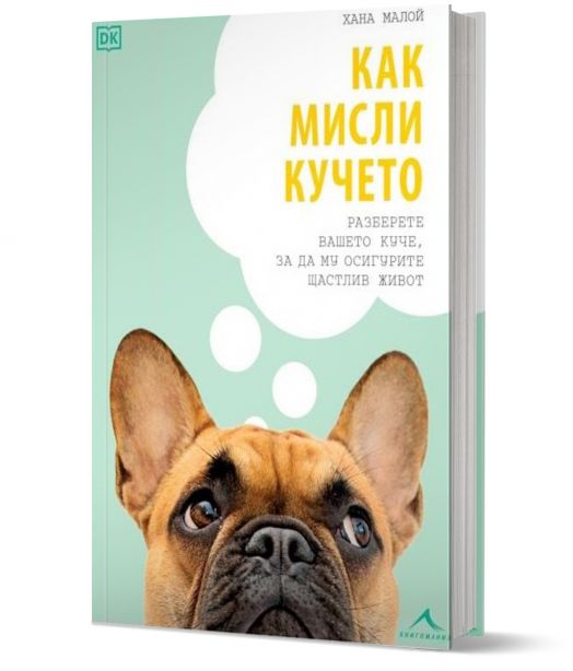 Как мисли кучето