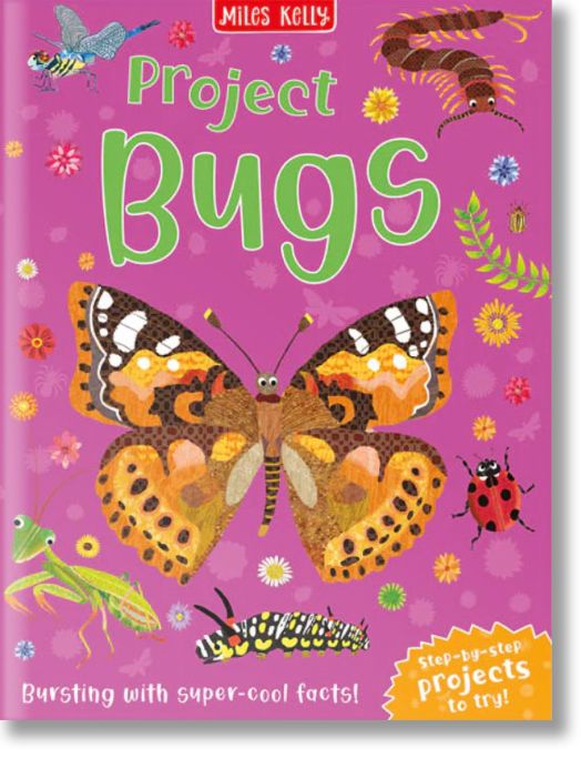 Project Bugs