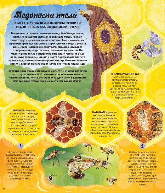 Вечният кръговрат на Майката Природа. 48 истории за жизнени цикли от цял свят