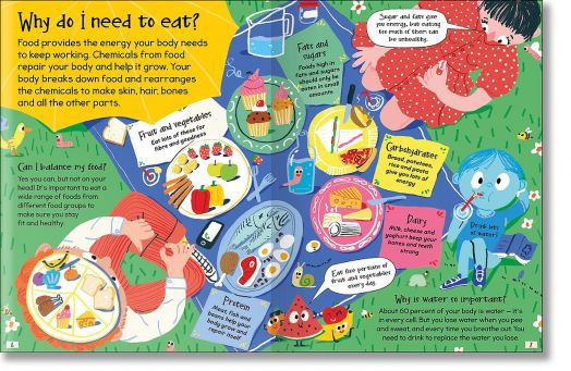 Curious Questions & Answers about My Body