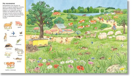 Търси и намери - Животните по света