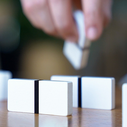 Домино Balvi - Sushi