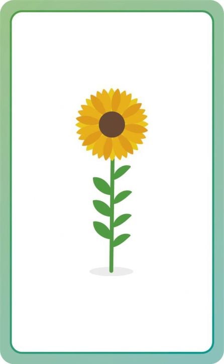 German for Everyone Junior First Words Flash Cards