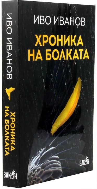 Хроника на болката