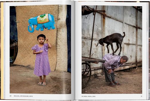 Steve McCurry: Animals