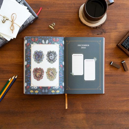 Седмичен планер Grupo Erik Harry Potter за 17 месеца - август 2025 / декември 2026 година