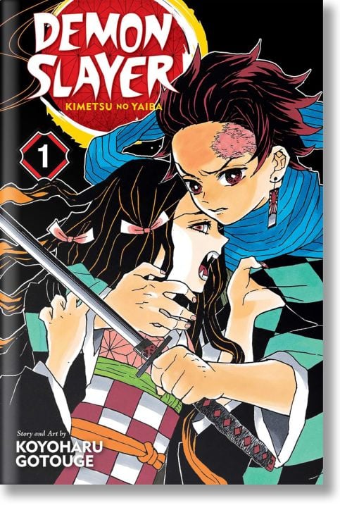 Demon Slayer: Kimetsu no Yaiba, Vol. 1