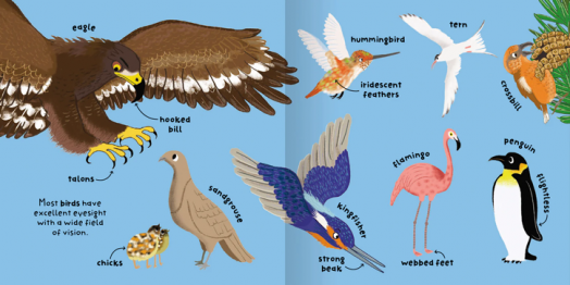 Big Words For Little Experts: Animals