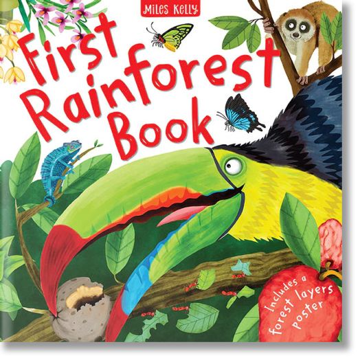 First Rainforest Book