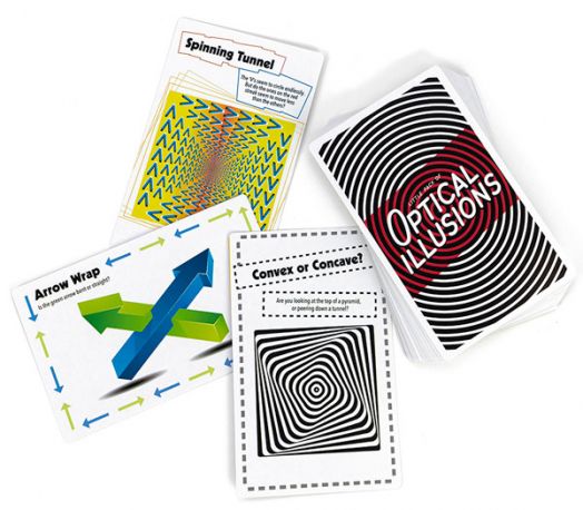 Игра Professor Puzzle: Optical Illusions