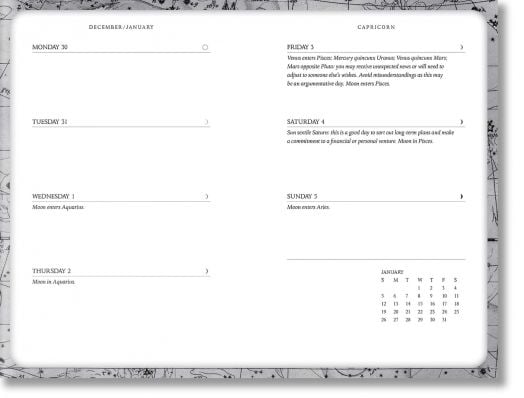 2025 Astrology Diary - Northern Hemisphere