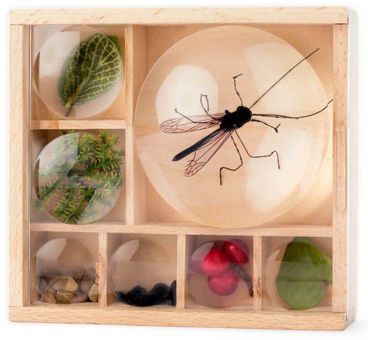 Кутия за колекциониране Kikkerland Huckleberry