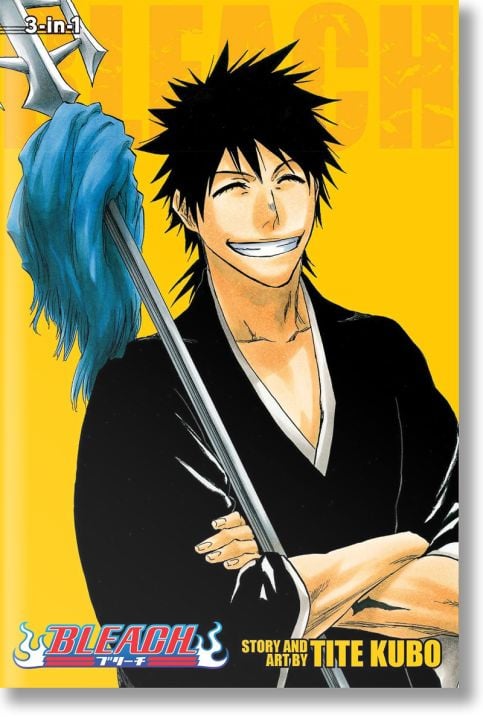 Bleach (3-in-1 Edition), Vol. 10