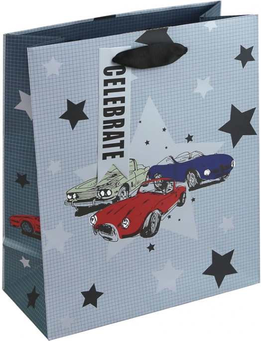 Подаръчна торбичка Eurowrap - Коли, малка