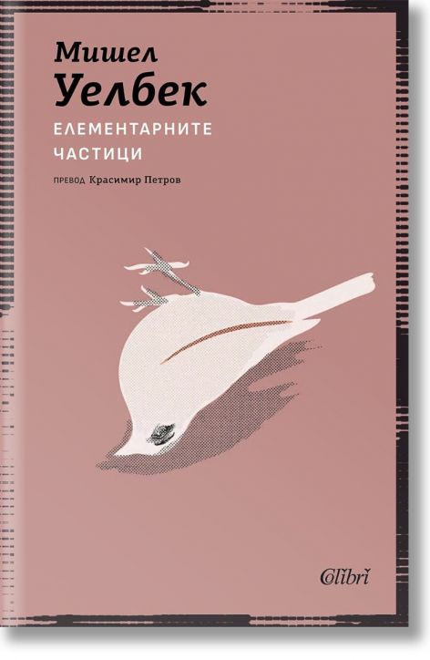 Елементарните частици