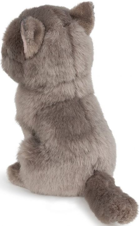 Плюшена играчка B.T. Chaps - Freddy the British Shorthair в подаръчна кутия 17 см.