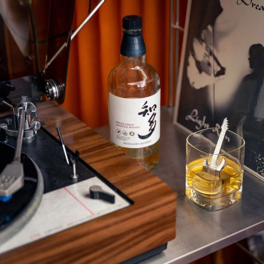 Охладител за уиски Kikkerland - Китара