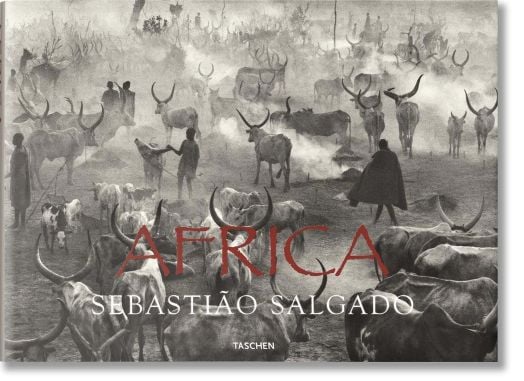 Salgado, Africa