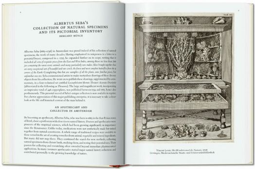 Seba. Cabinet of Natural Curiosities. 40th Ed.