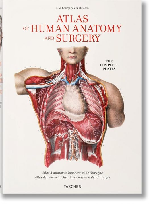 Atlas of Human Anatomy and Surgery