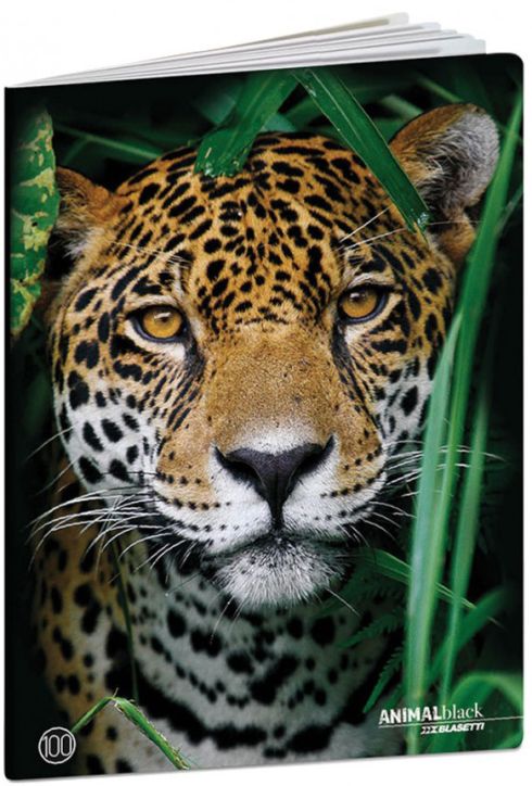 Тетрадка Blasetti Animal Black А4, 36 листа с широки редове