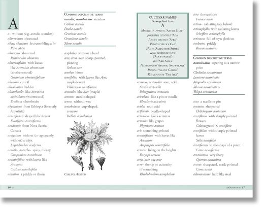 Plant Names Explained