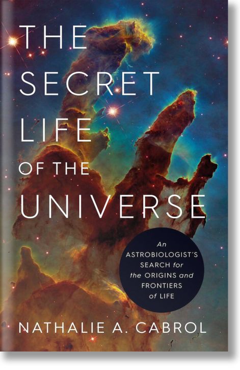 The Secret Life of the Universe
