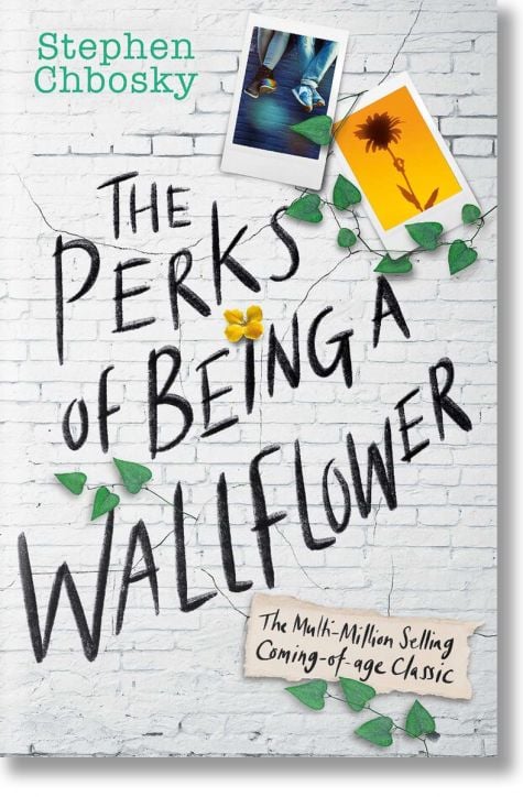 The Perks of Being a Wallflower YA Edition