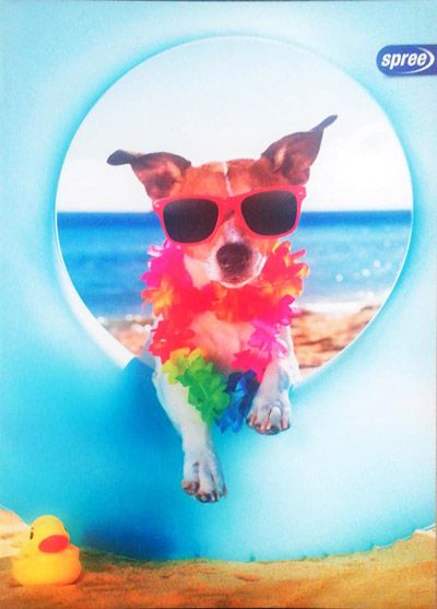 Тетрадка Spree Basic UV A5, 40 листа с тесни и широки редове