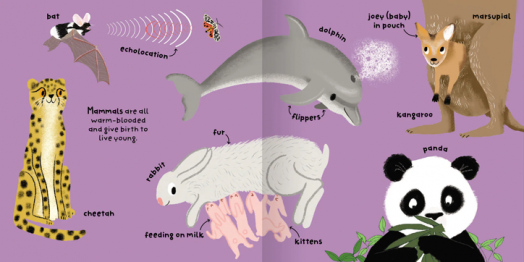 Big Words For Little Experts: Animals