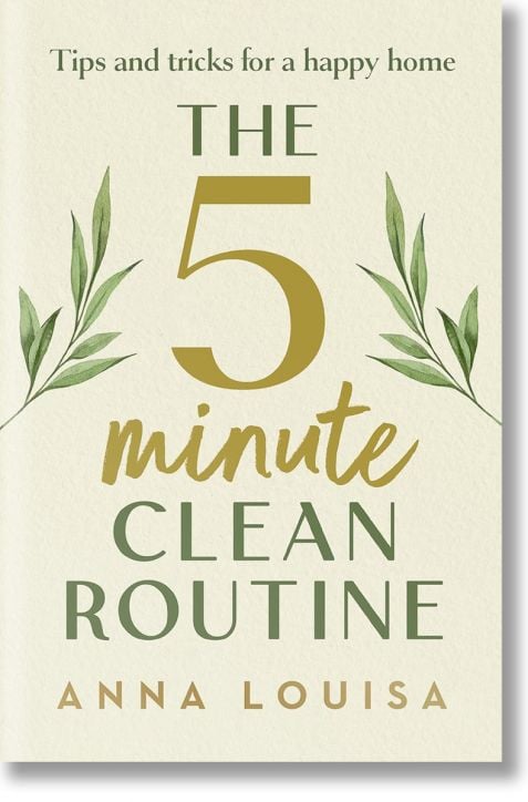 The 5 Minute Clean Routine