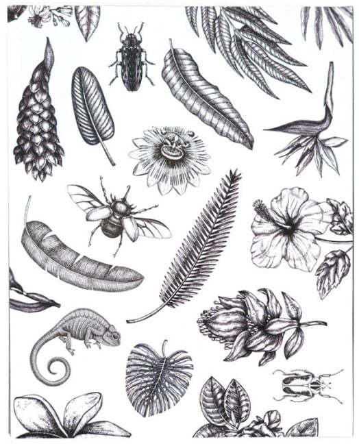 Албум за снимки Tropical