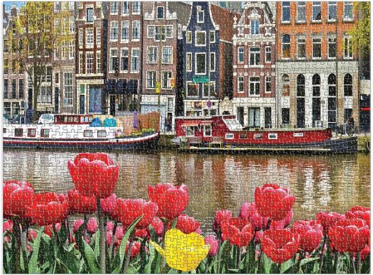 Пъзел Good Puzzle - Цветя в Амстердам, 1000 части