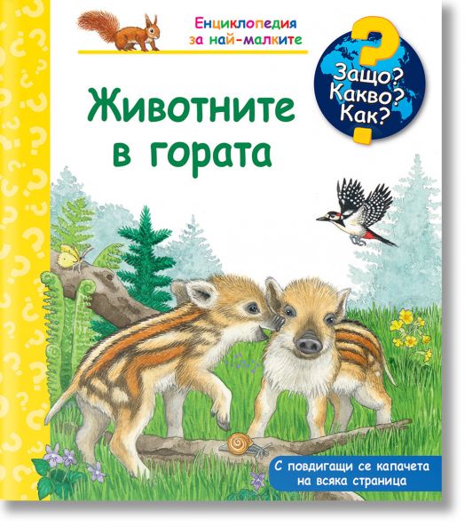 Защо? Какво? Как? Животните в гората
