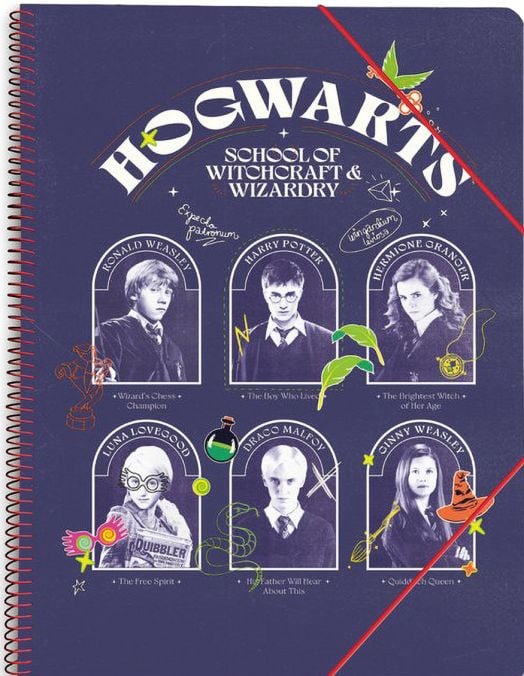 Папка с ластик Grupo Erik - Harry Potter A4