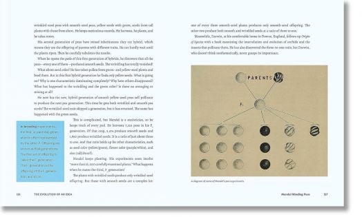 Discovering Life`s Story: The Evolution of an Idea