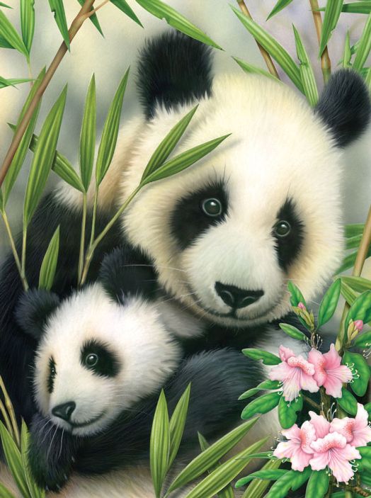 Комплект за лесно рисуване с акрилни бои Royal & Langnickel - Панда и бебе