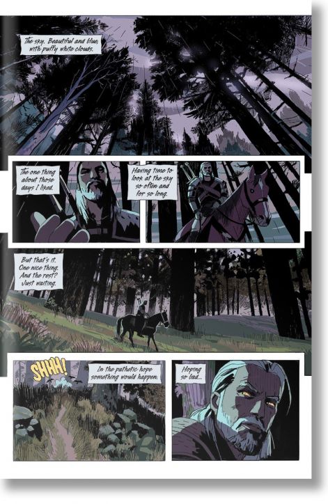 The Witcher Volume 5: Fading Memories