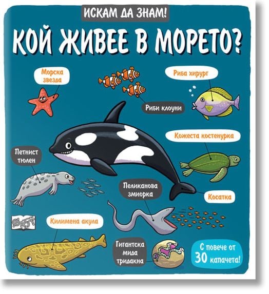 Искам да знам! Кой живее в морето?
