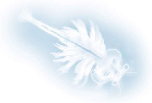 Детски изследователски комплект Buki Nature: Морски чудовища