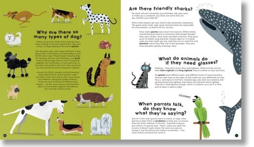 There's No Such Thing as a Silly Question